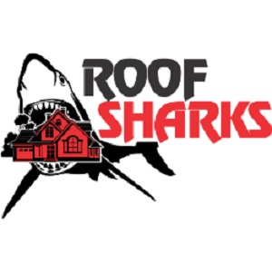 Roof Sharks's Logo