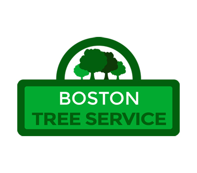 Boston Tree Service's Logo