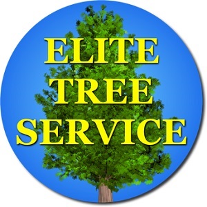 Elite Tree Service's Logo