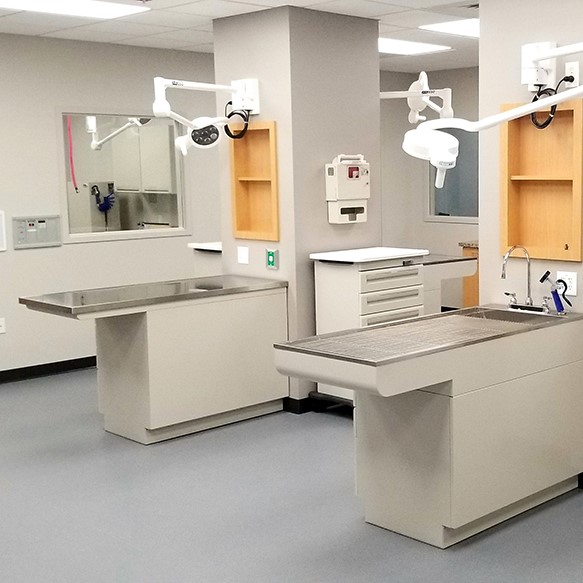 State of the Art Animal Hospital Facility in Tampa FL