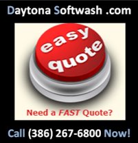 Daytona Softwash Pressure Washing's Logo