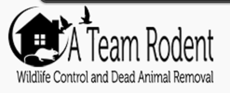 ATS Animal Removal, Trapping & Attic Cleaning Services's Logo