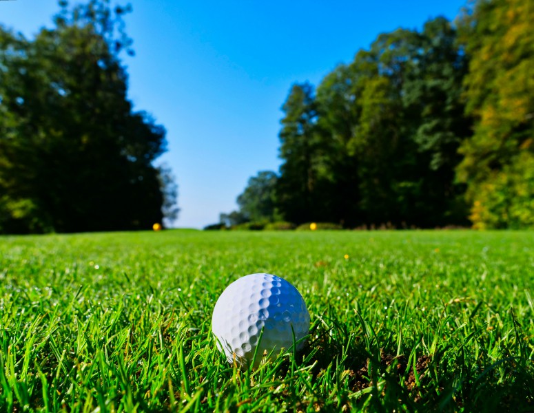Golf Lessons with Trevon Branch