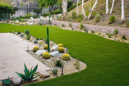 Landscape Design and Remodel in San Diego
