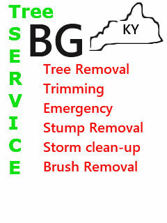 Jeffersonville Tree Service's Logo
