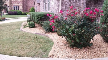 ABOVEALL LANDSCAPING FLOWER BEDS YARD WORK MULCH