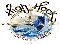 High Hook Fishing Charters's Logo