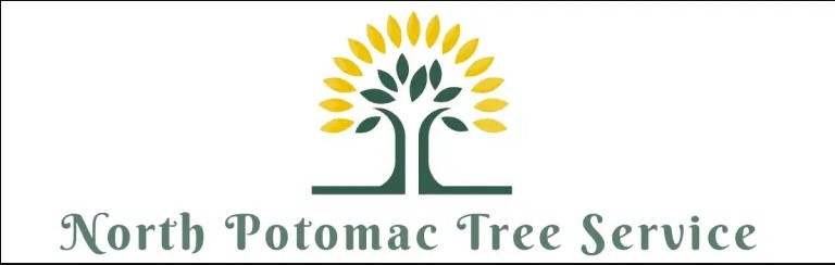 North Potomac Tree Service's Logo