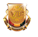 VIP Connection's Logo