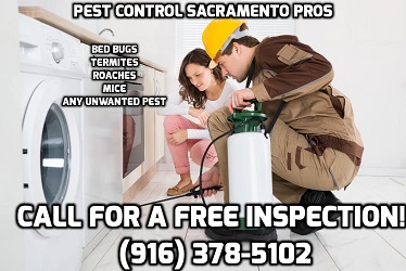 Pest Control Pros's Logo