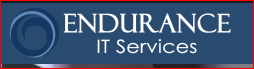 Endurance IT Services's Logo