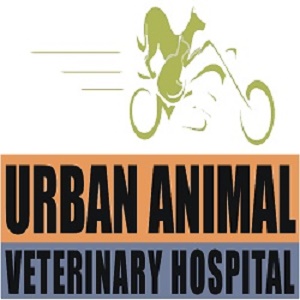 Urban Animal Veterinary Hospital - Houston Heights's Logo