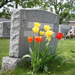 Care Center Cremation & Burial's Logo
