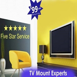 TV Mounting Services And Installation's Logo