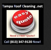 Tampa Roof Cleaning's Logo