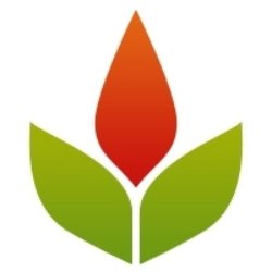 LinkHelpers Phoenix Website Design's Logo
