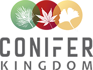 Conifer Kingdom's Logo