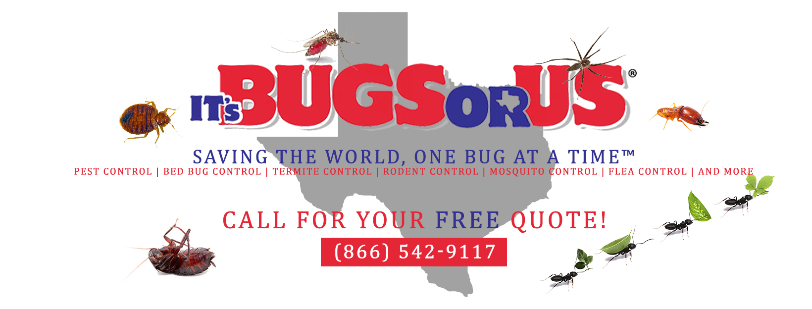 It's Bugs Or Us Pest Control - Wharton's Logo