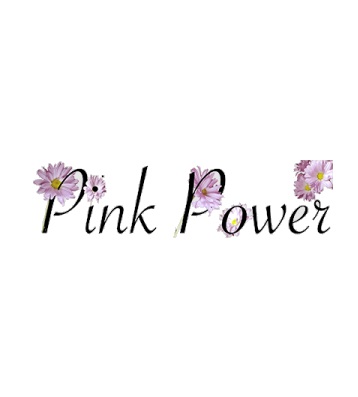 Pink Power Cleaning's Logo