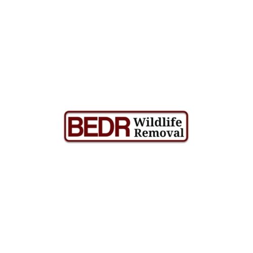 BEDR Wildlife Removal's Logo