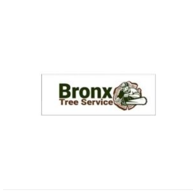 Eddie's Bronx Tree Removal Service's Logo
