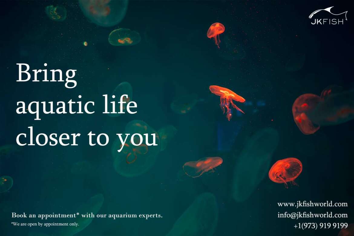 Bring Aquatic life closer to you