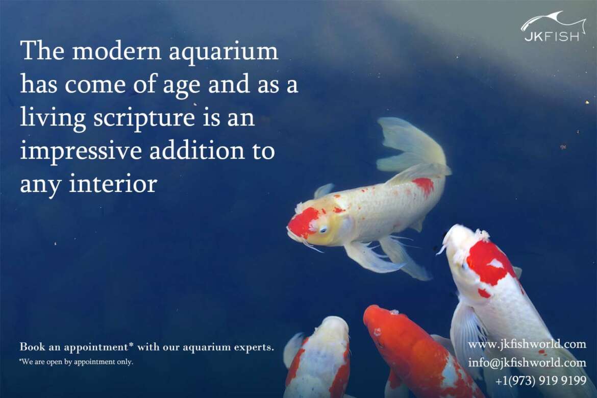 Modern aquarium a living scripture