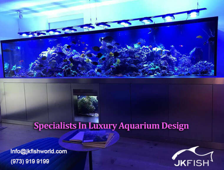 Specialists In Luxury Aquarium Design