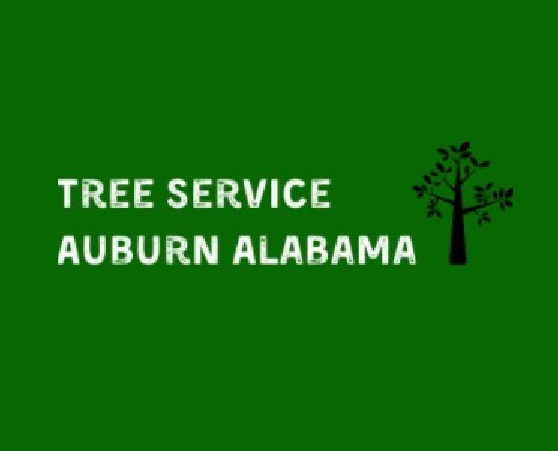 Tree Service Auburn Alabama's Logo