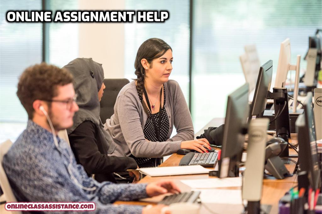 my assignment service