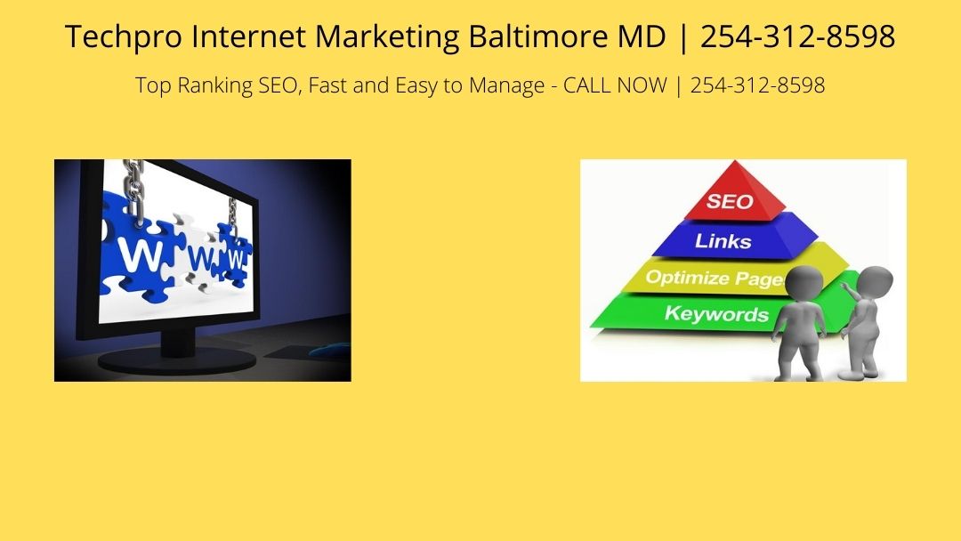 Techpro Internet Marketing Baltimore MD's Logo