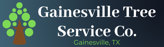 Tree Service Gainesville's Logo