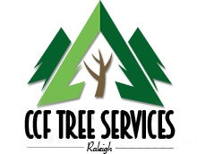 CCF Tree Services's Logo