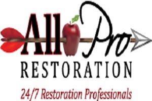 All Pro Restoration's Logo