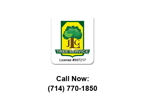 JLG Tree Service's Logo