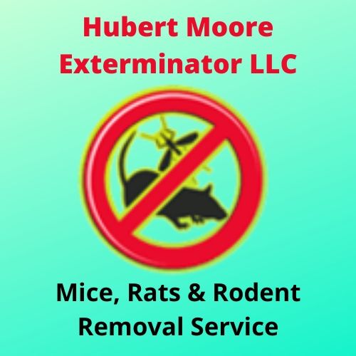 Hubert Moore Exterminator LLC's Logo