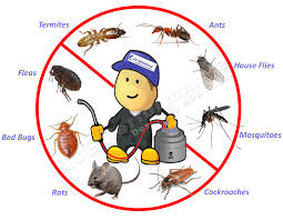 Dante Tapp Pest Control Service's Logo