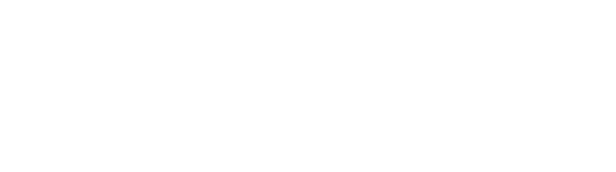 Paradise Grills's Logo