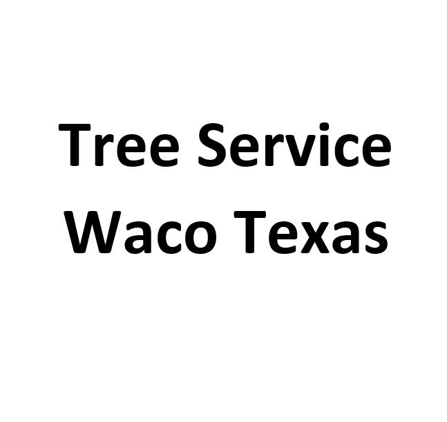 Tree Service Waco Texas's Logo
