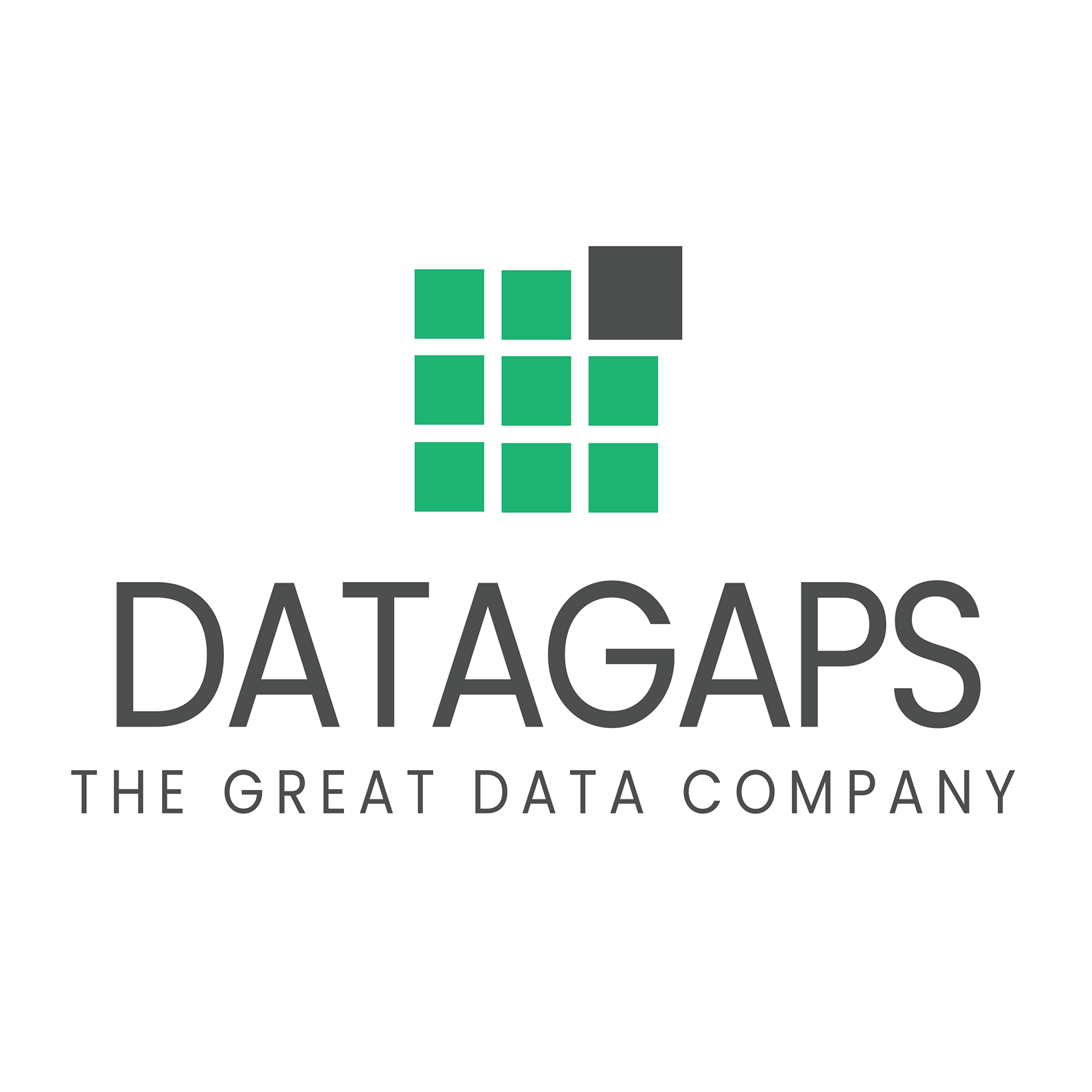 Datagaps's Logo