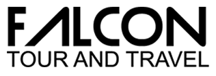 Falcon Tour Travel's Logo
