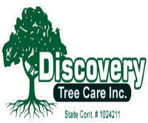 Discovery Tree Care, Inc.'s Logo