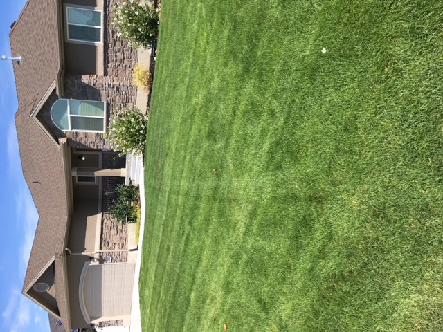 Make your lawn look like a beautiful baseball field when you choose the lawn services with Big League Lawns in Ogden