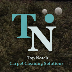 Top Notch Carpet Cleaning's Logo