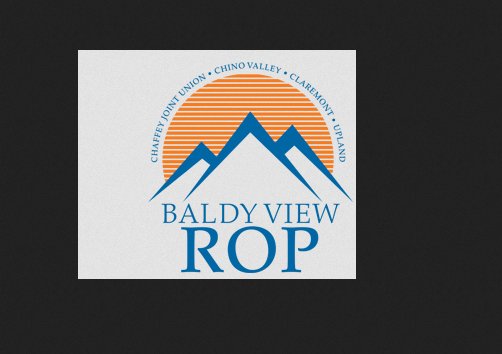 BALDY VIEW ROP's Logo
