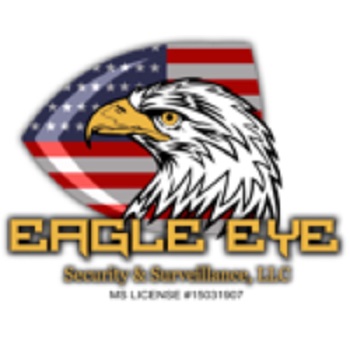 Eagle Eye Security & Surveillance, LLC's Logo