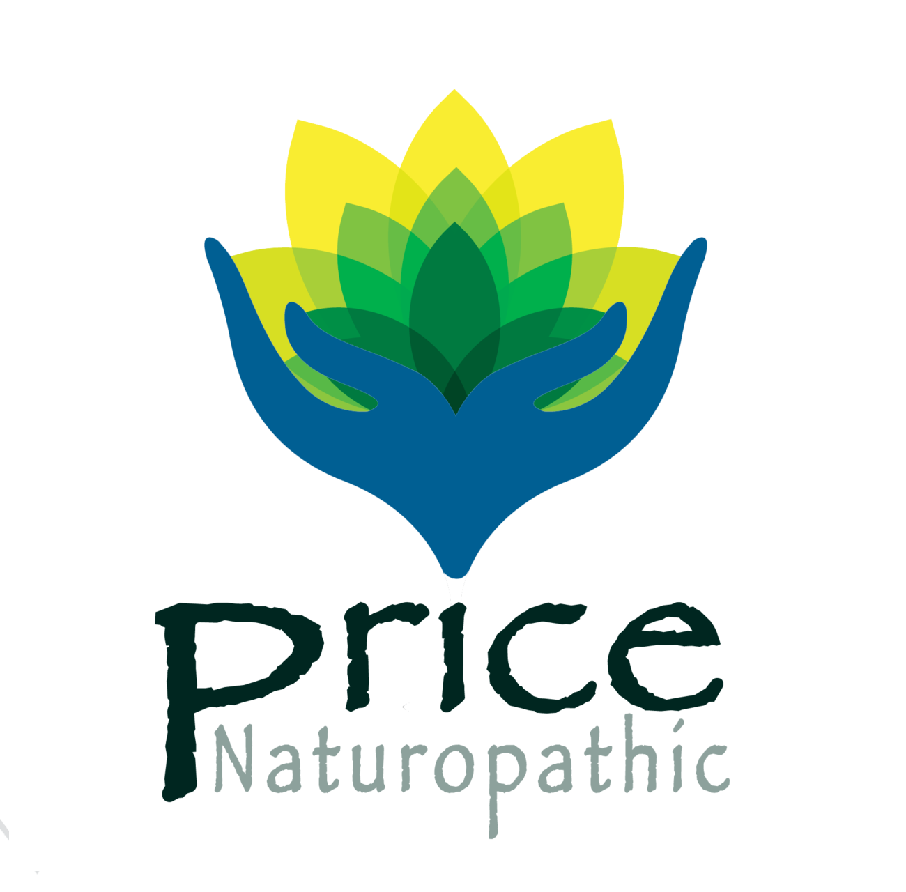 Naturopathic Doctor San Diego's Logo