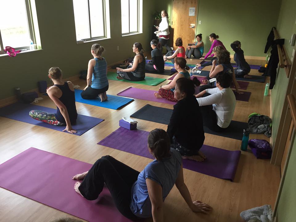 HudsonVinyasa Yoga Classes at Inspiring Action Yoga