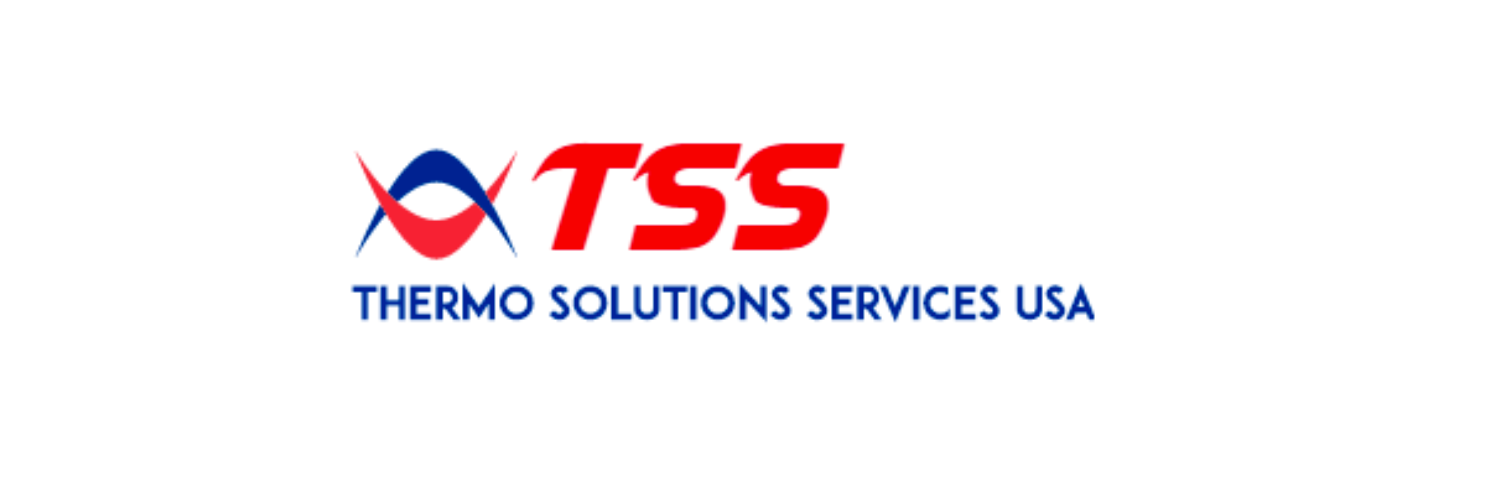 Thermo Solutions Services USA Inc.'s Logo