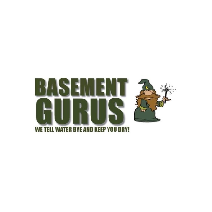 Basement Gurus's Logo